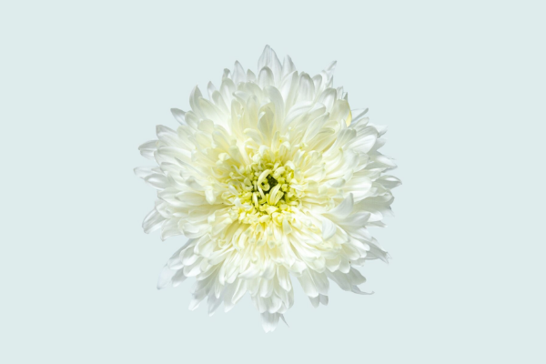 Individuelle Gesundheitsleistungen (IGeL) – Sinnvolle Ergänzungen für Ihre Vorsorge